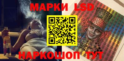 прущие грибы Будённовск
