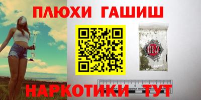 прущие грибы Будённовск